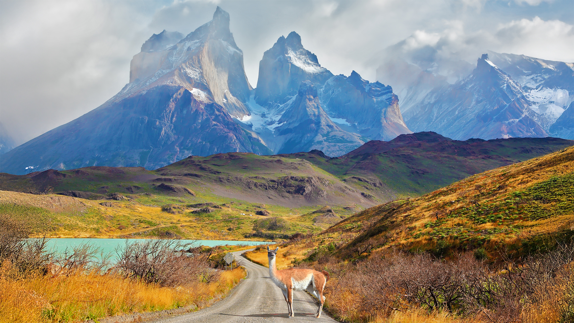 Torres del Paine National Park, Patagonia, landscape, mountains, glaciers, guanaco