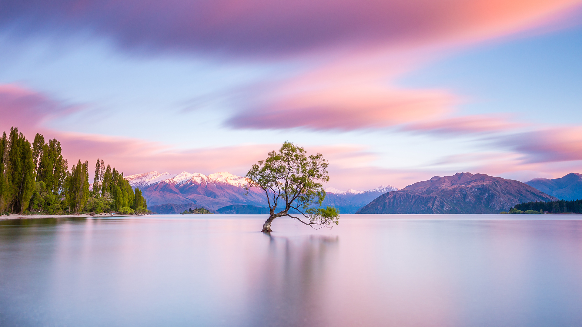 That Wānaka Tree, Lake Wanaka, Otago, South Island, New Zealand