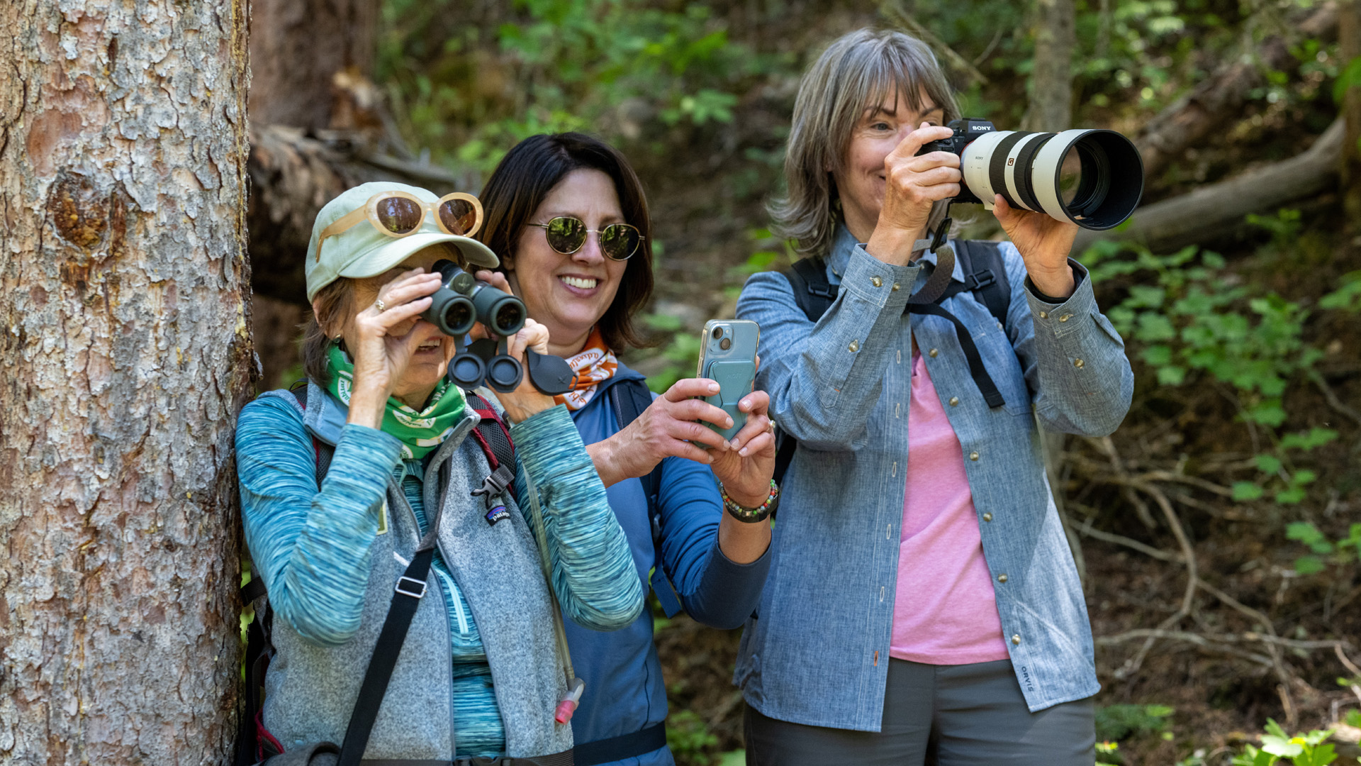 three women photograph and bird watch in nature